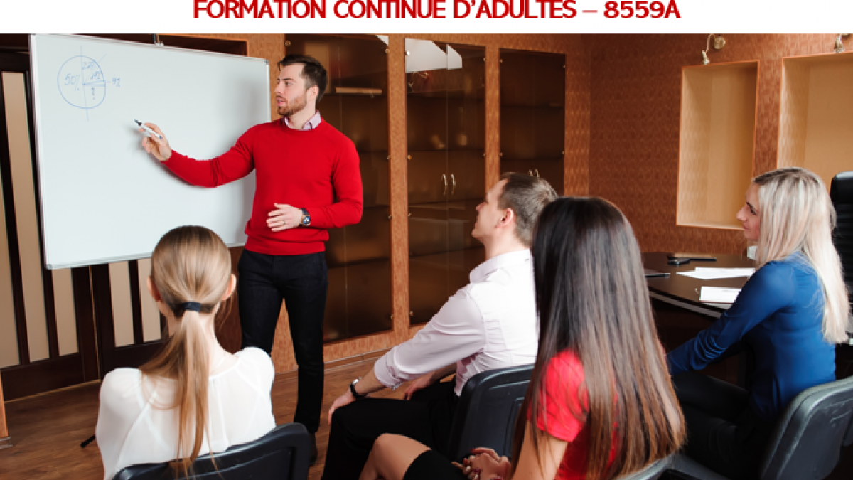 Rapport sectoriel 2025 formation professionnelle 8559A